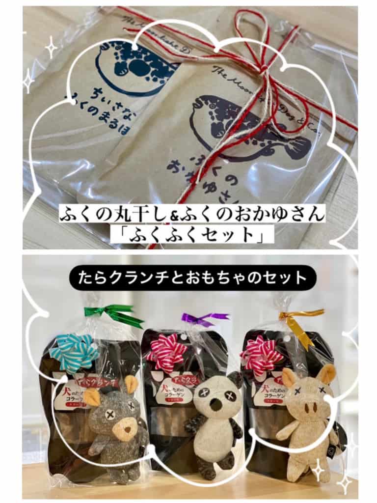 福島市新町のトリミングサロンワラウイヌ