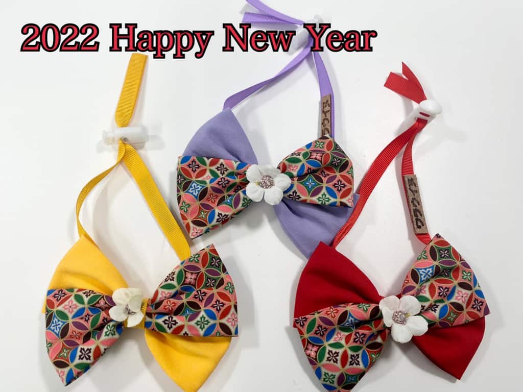 福島市新町のトリミングサロンワラウイヌ