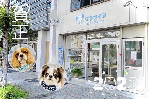 福島市新町のトリミングサロンワラウイヌ