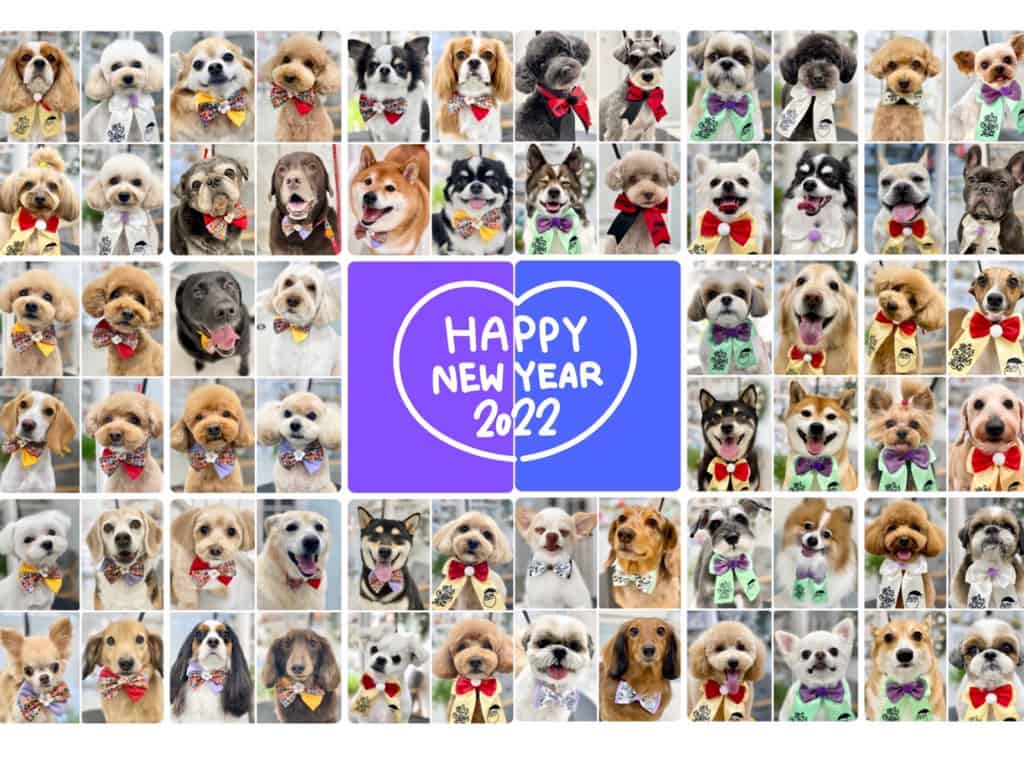 福島市新町のトリミングサロンワラウイヌ